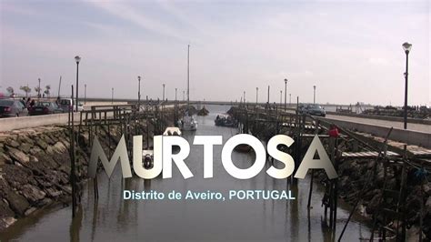 latest news from murtosa portugal